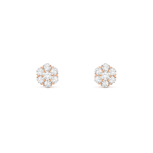 עגילי פריחת הורד